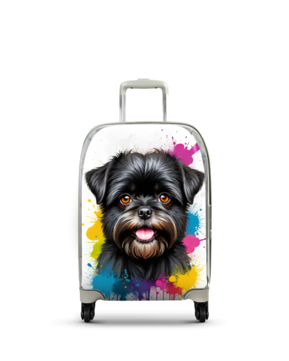 Affenpinscher 2