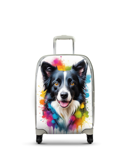 Border collie 2